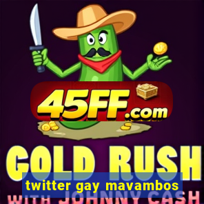 twitter gay mavambos